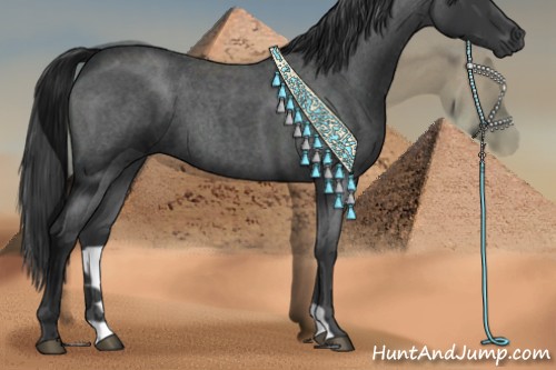 Horse Color:Blue Roan