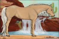 Horse Color:Palomino