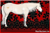 Horse Color:Cremello Sabino  and Cremello Sabino 