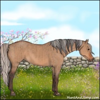 Horse Color:Bay Dun  and Silver Bay Dun 