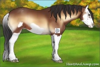 Horse Color:Bay Onyx Splash Frame Appaloosa 