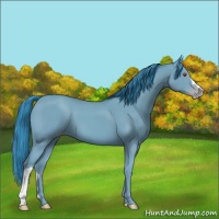 Horse Color:Watercolor Classic Champagne Chinchilla 