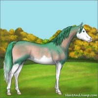 Horse Color:Watercolor Smoky Blue Onyx Splash Rabicano 
