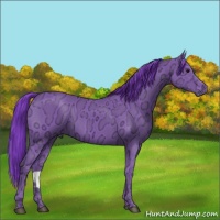Horse Color:Watercolor Black Chinchilla Ice Rabicano 