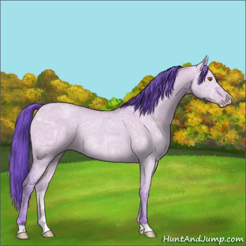 Horse Color:Watercolor Classic Champagne Ice Dun Rabicano