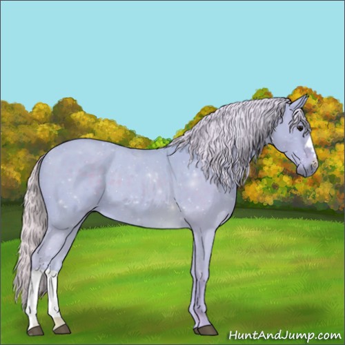 Horse Color:Watercolor Silver Blue Roan 