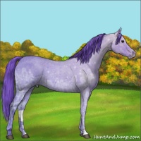 Horse Color:Watercolor Blue Ice Roan 