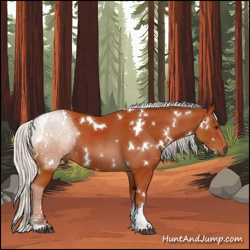 Horse Color:White Spotted Silver Bay Sabino 