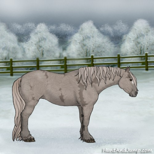 Horse Color:Silver Grullo Ice 
