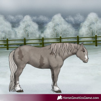 Horse Color:Silver Grullo Ice 