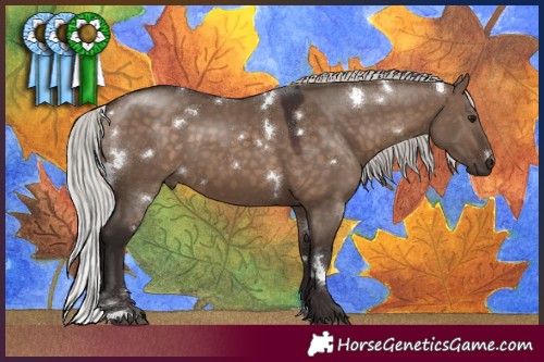 Horse Color:White Spotted Silver Brown Dun 