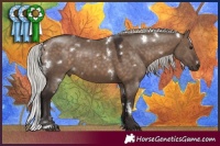 Horse Color:White Spotted Silver Brown Dun 