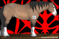 Horse Color:Brown Dun Splash