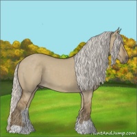 Horse Color:Silver Smoky Grullo 
