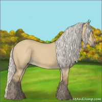 Horse Color:Silver Smoky Grullo 
