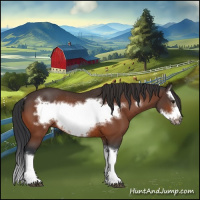 Horse Color:Bay Splash Frame Rabicano 