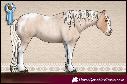 Horse Color:Silver Blue Roan Pearl Tobiano Frame