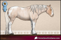 Horse Color:Silver Blue Roan Pearl Tobiano Frame 