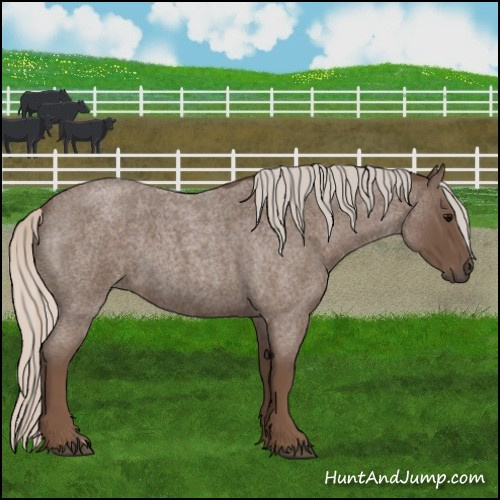 Horse Color:Silver Blue Roan 