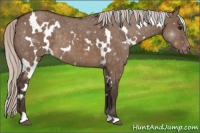 Horse Color:White Spotted Silver Brown Dun Varnish 