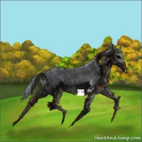 Horse Color:Blue Roan Sabino Splash  and Blue Roan Sabino Splash 