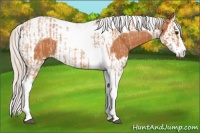 Horse Color:Silver Bay Roan Splash Tobiano  and Silver Bay Roan Splash Tobiano 