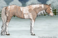 Horse Color:Silver Bay Roan Splash Tobiano  and Silver Blue Roan Splash Tobiano 