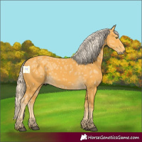 Horse Color:Palomino Ice 