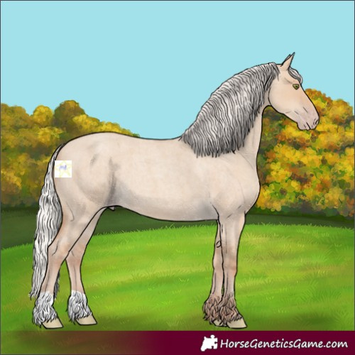 Horse Color:Silver Classic Champagne Roan Dun 