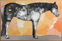 Horse Color:Black Sabino