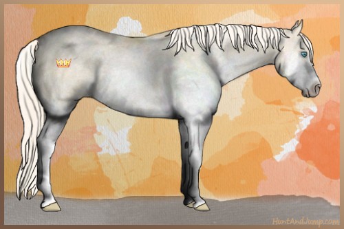 Horse Color:Palomino Pearl Dun Sabino 