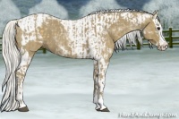 Horse Color:Silver Smoky Blue Roan Splash Tobiano  and Silver Smoky Blue Roan Splash Tobiano 