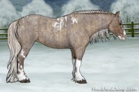 Horse Color:Silver Smoky Blue Roan Splash Tobiano  and Silver Blue Roan Splash Tobiano 