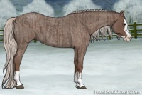 Horse Color:Silver Blue Roan Splash Tobiano  and Silver Blue Roan Splash 