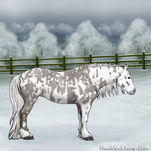 Horse Color:Silver Blue Roan Splash Tobiano  and Gray Silver Blue Roan Splash Tobiano 