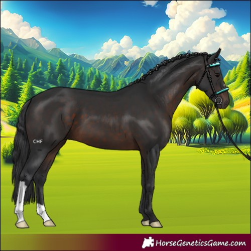 Horse Color:Brown 