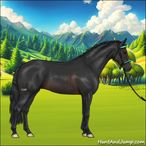 Horse Color:Brown 