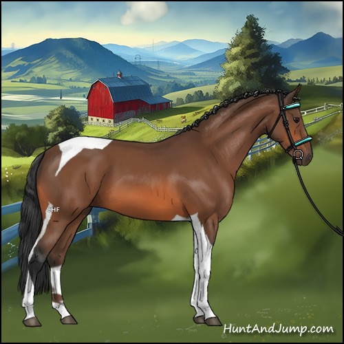 Horse Color:Bay Tobiano 