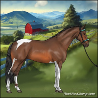 Horse Color:Bay Tobiano 
