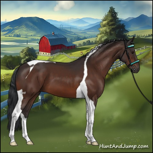 Horse Color:Bay Tobiano 