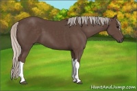 Horse Color:Silver Black 