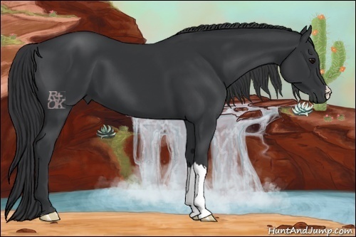 Horse Color:Black 