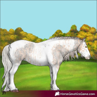 Horse Color:Silver Classic Champagne Roan Splash Tobiano  and Silver Blue Roan Splash Tobiano 