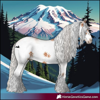 Horse Color:White Spotted Silver Bay Frame 