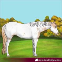 Horse Color:Chestnut Tobiano Frame Blanket 
