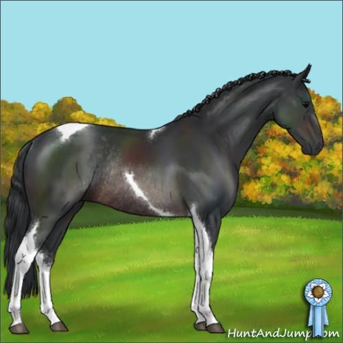 Horse Color:Brown Sabino Tobiano Rabicano 