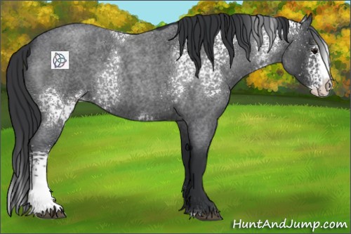 Horse Color:White Spotted Blue Roan Splash 
