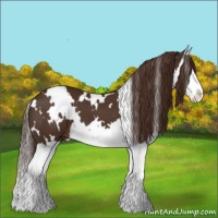 Horse Color:White Spotted Liver Chestnut Splash 
