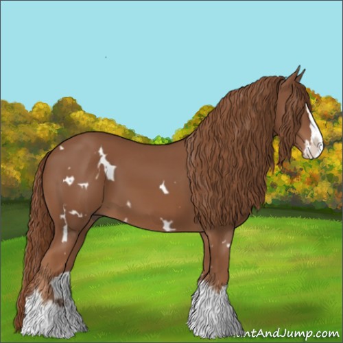 Horse Color:White Spotted Chestnut Splash 