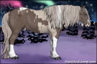 Horse Color:Silver Grullo Roan Splash Tobiano  and Silver Black Splash Tobiano Rabicano 